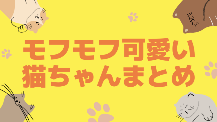 カワイイがいっぱい！ニャンダーランド